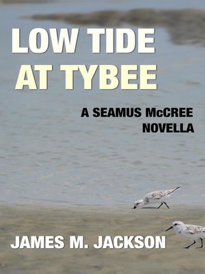 cover image of Low Tide at Tybee